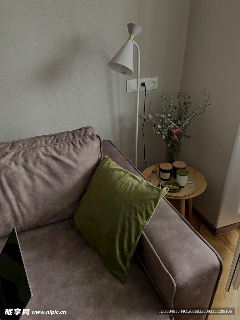 温馨客厅角落沙发绿植场景