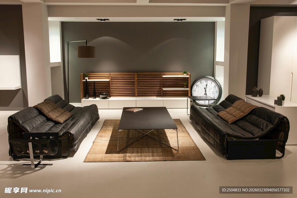 现代奢华客厅 居布置