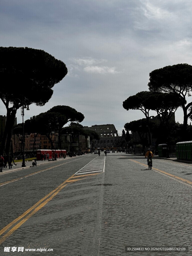 空旷道路与葱郁树木景观