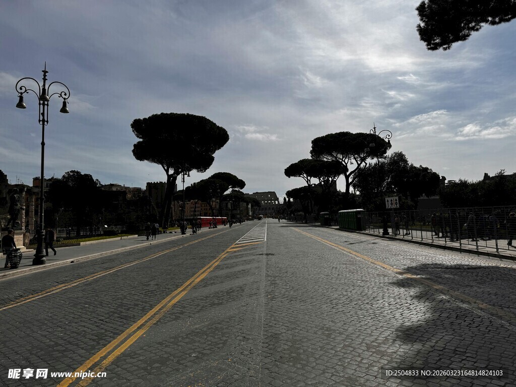 空旷街道与独特树木景观