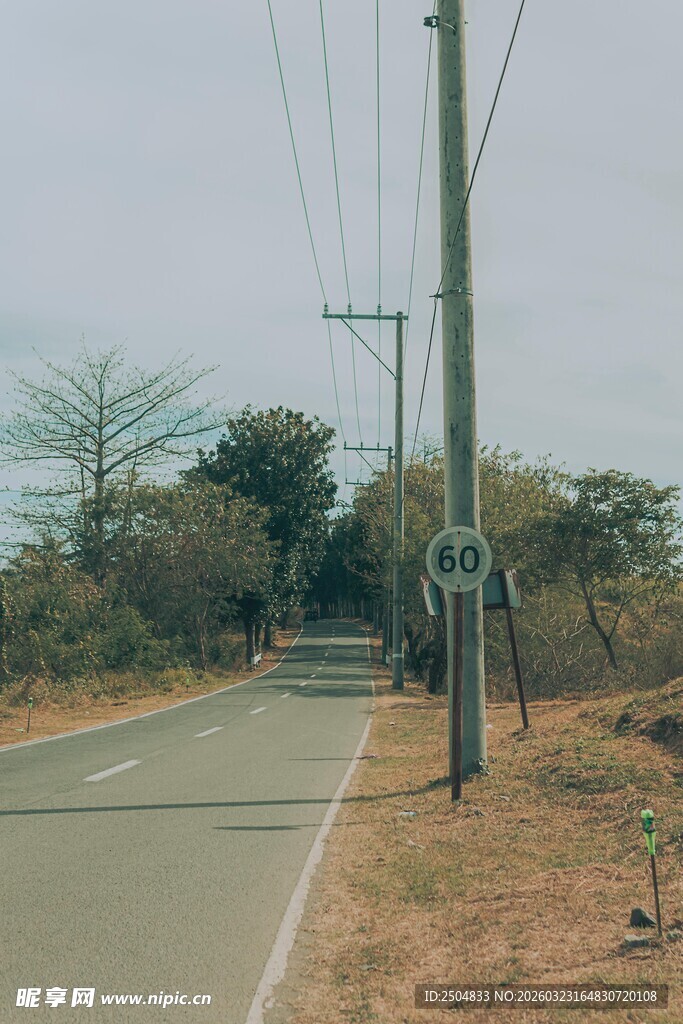 乡村公路旁的电线杆景观