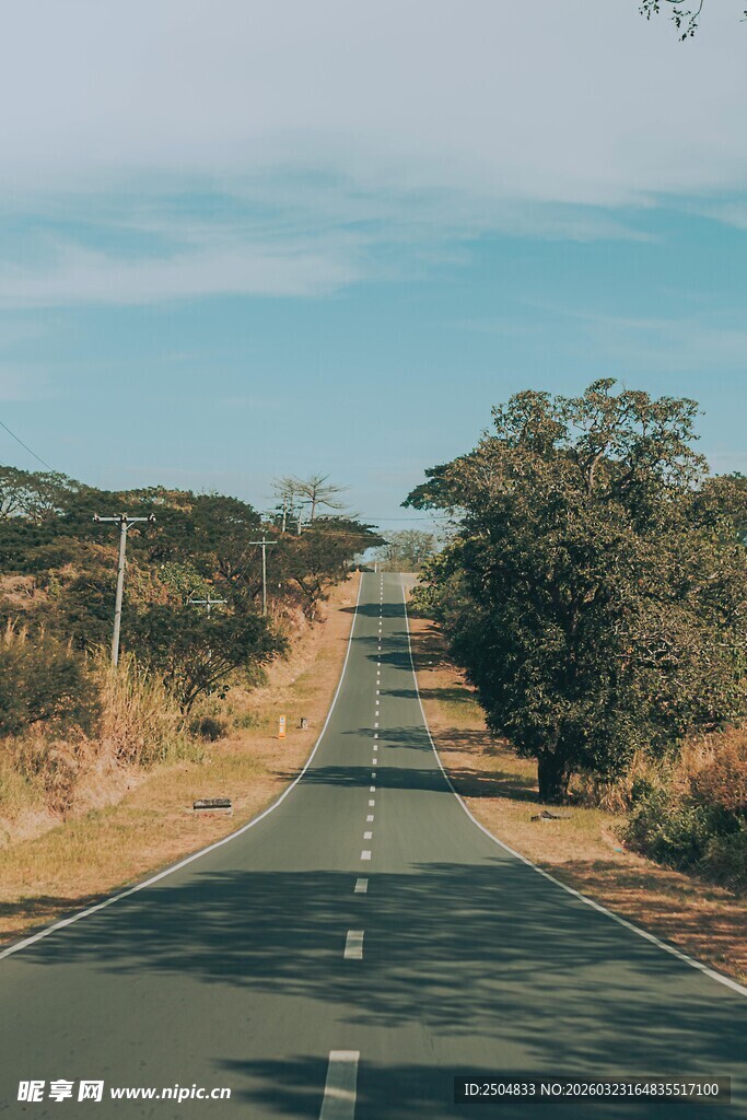 乡间公路风景