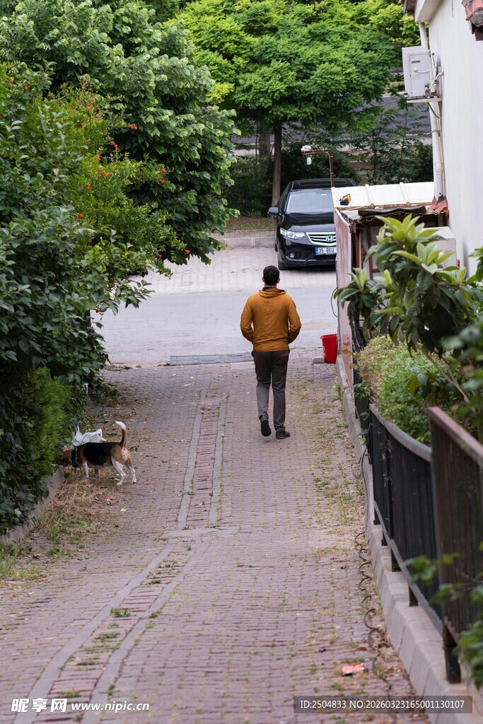 行人漫步于绿树环绕小道