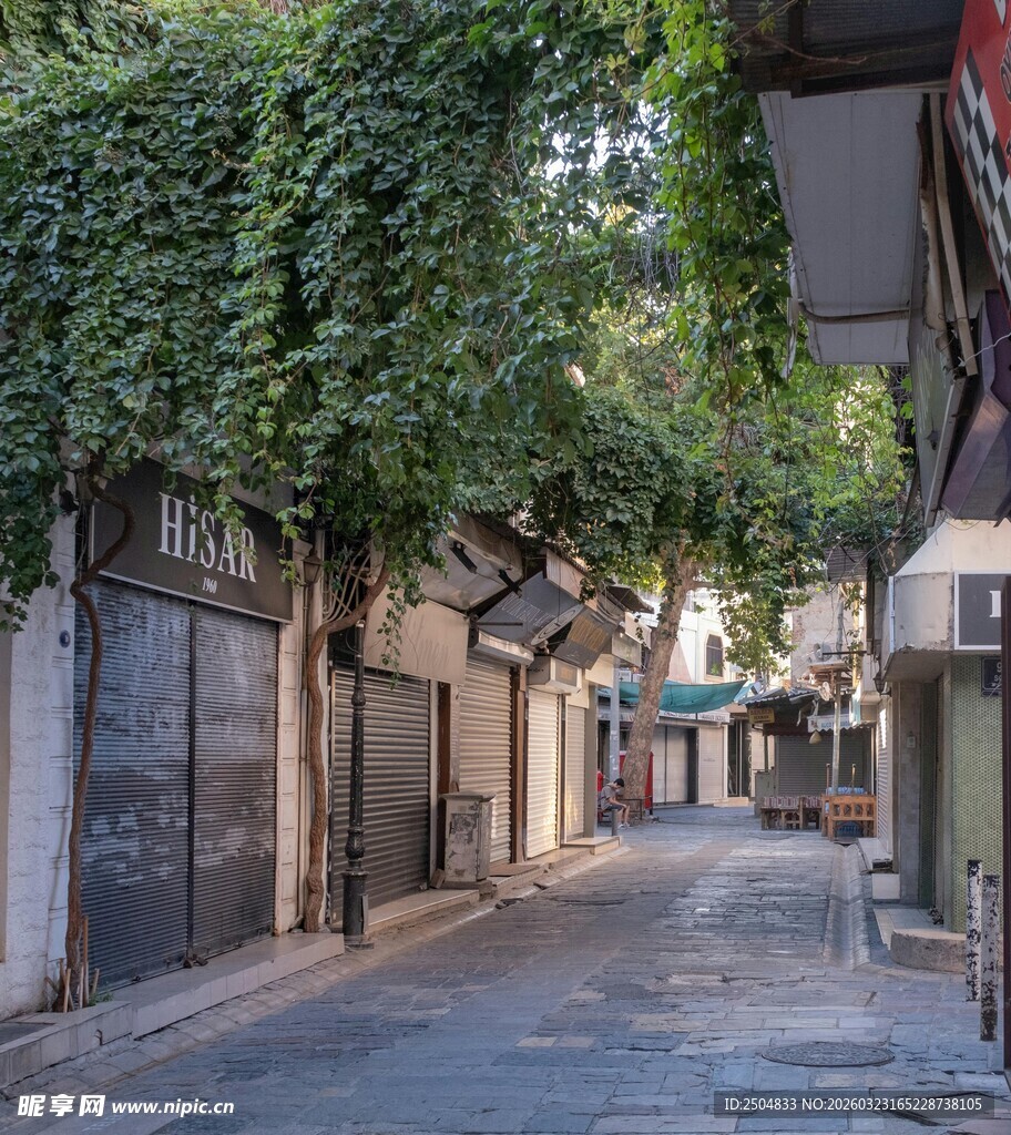 幽静小巷绿植覆盖的景致