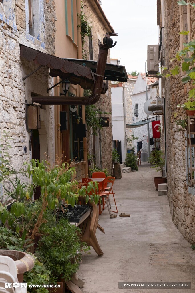 古朴小巷中的绿植景致