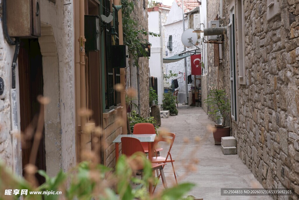 宁静小巷中的绿植景致