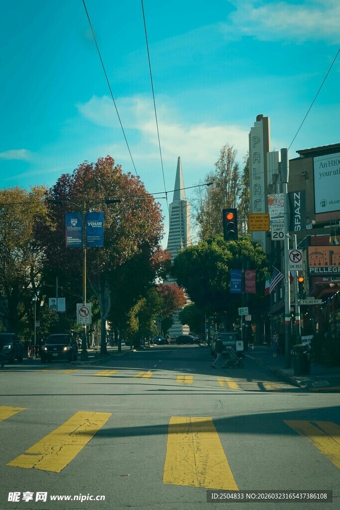 城市街道中的交通场景