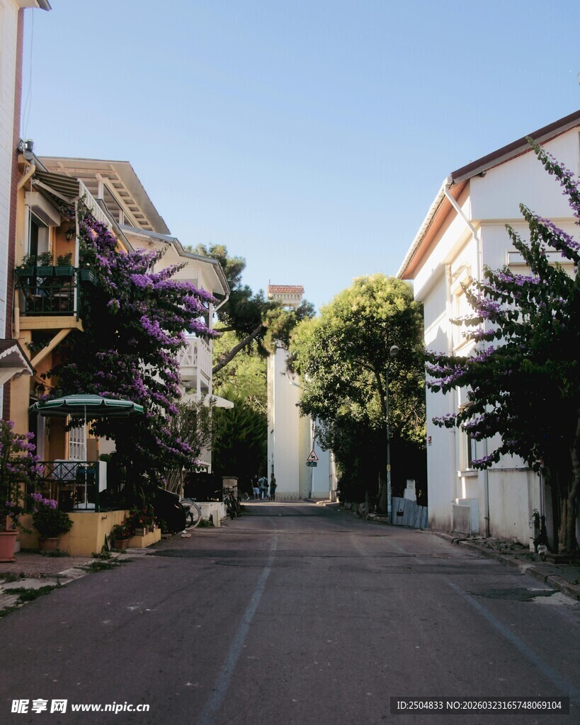 宁静街道的惬意景致