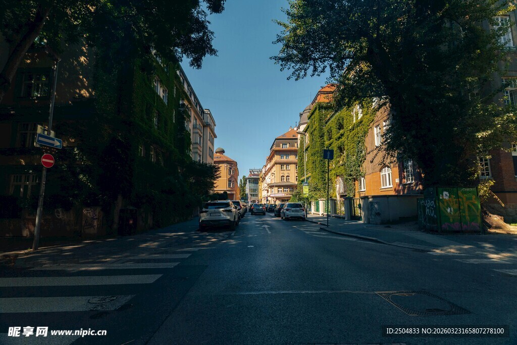 城市街道绿树成荫景象