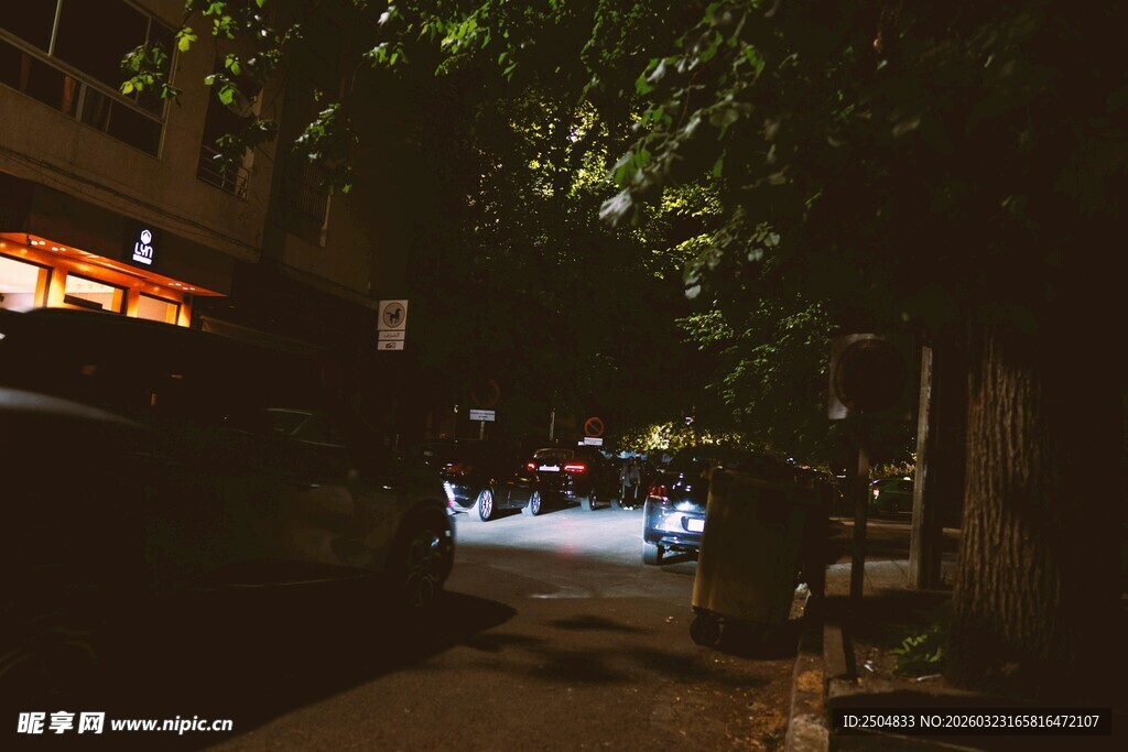 夜晚街道旁的静谧景象