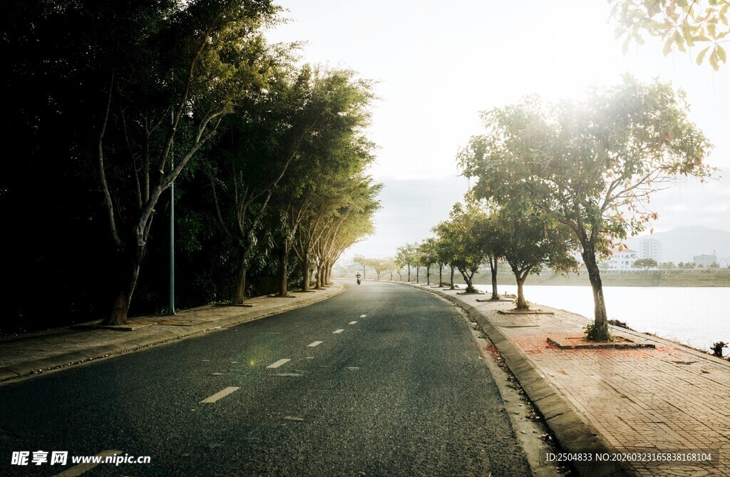 林间公路 静谧晨光美景