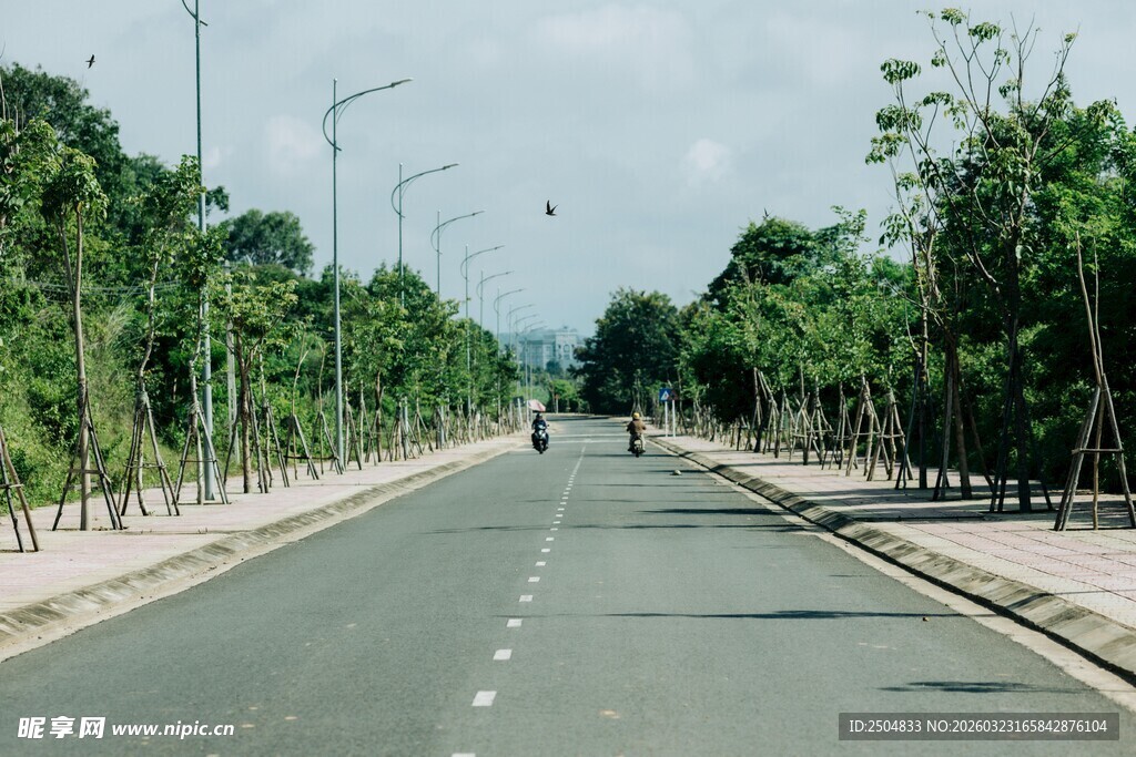 宽阔林荫大道风景