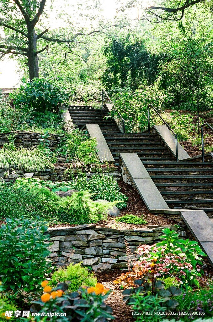 山间石阶旁的繁茂绿植