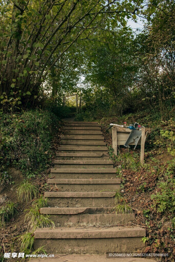林间石阶 静谧自然小径