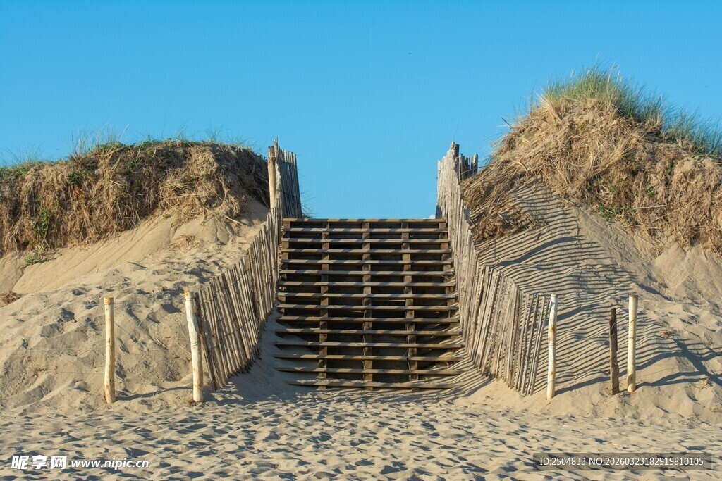沙滩上通往沙丘的木质阶梯