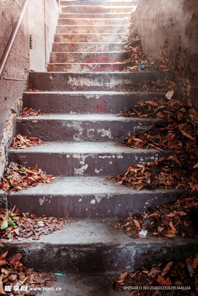 秋日落叶覆盖的老旧楼梯