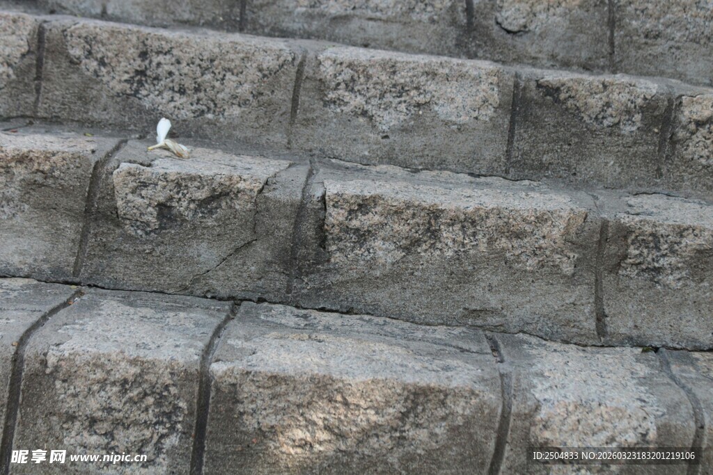古老石阶上的小鸟