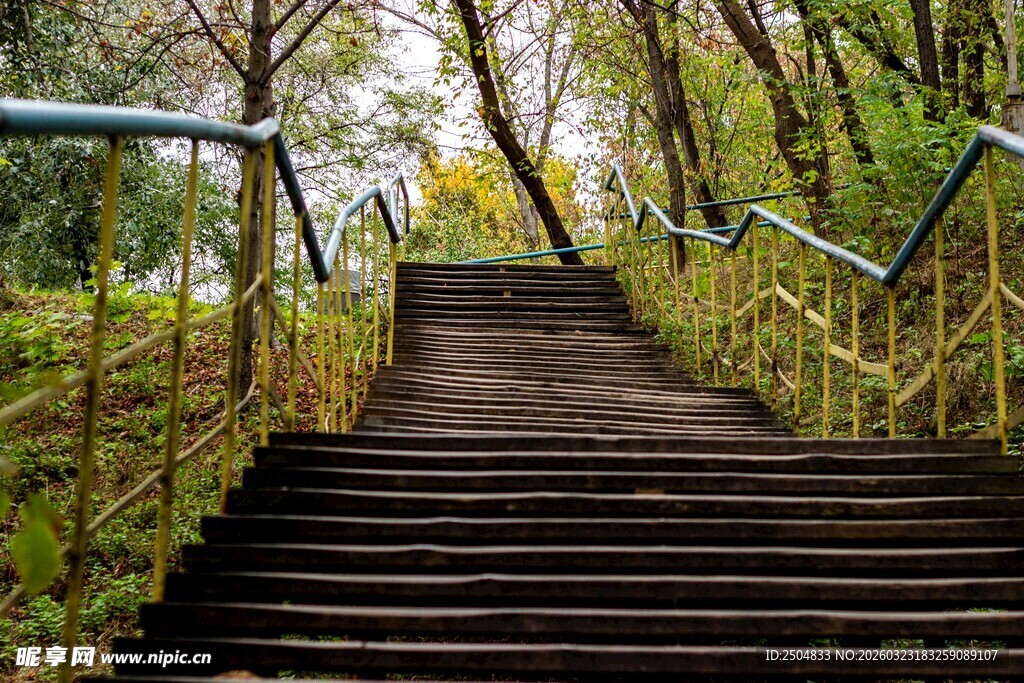 林间木质阶梯 自然景致