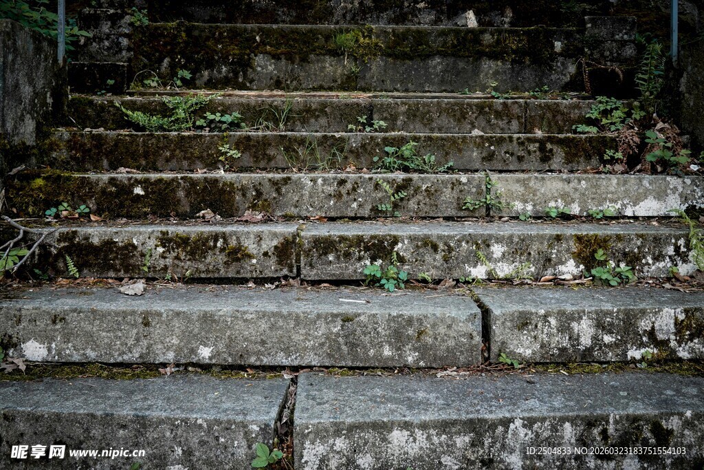 长满青苔的古老石阶