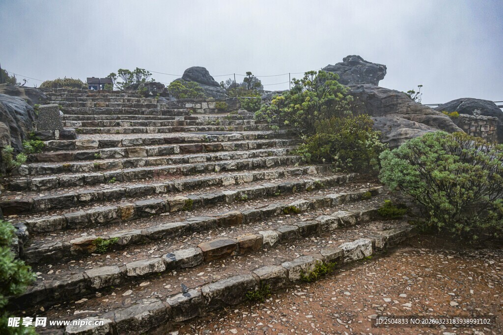 山间石阶 绿植相伴