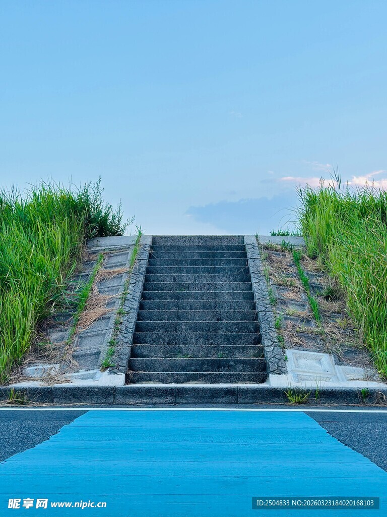 泳池边的阶梯与葱郁绿植