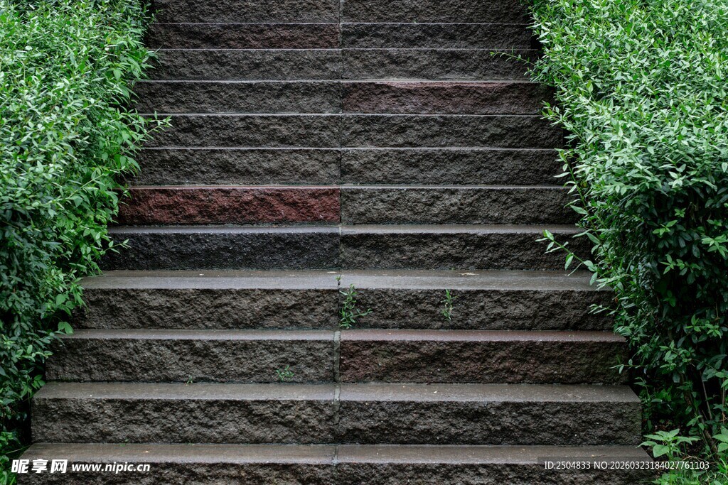 石砌小径穿梭于绿植间