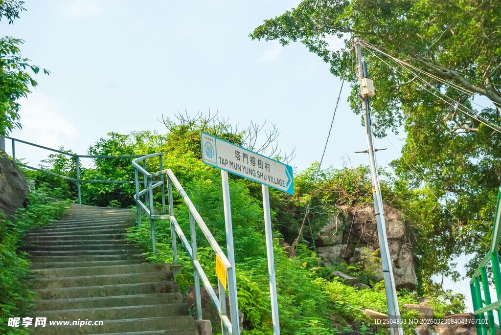山间绿植环绕的步道