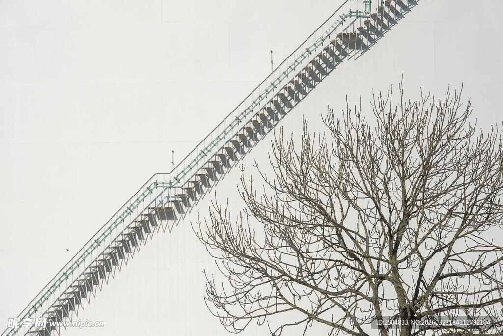 冬日枯树旁的架空轨道