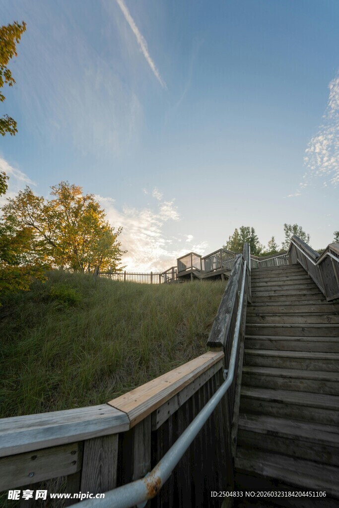 秋日林间木梯风景
