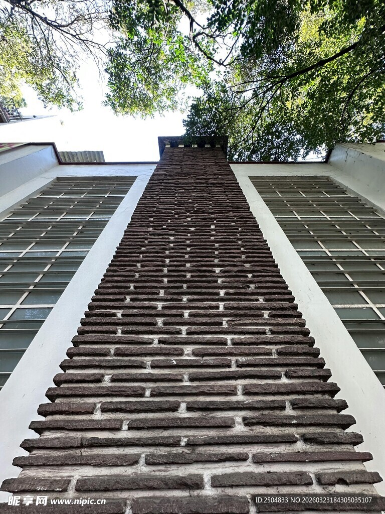 砖砌小径通向绿意空间