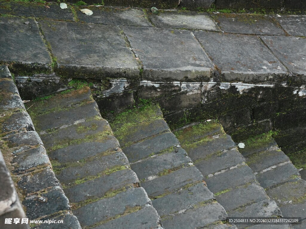 古老青苔覆盖的石阶