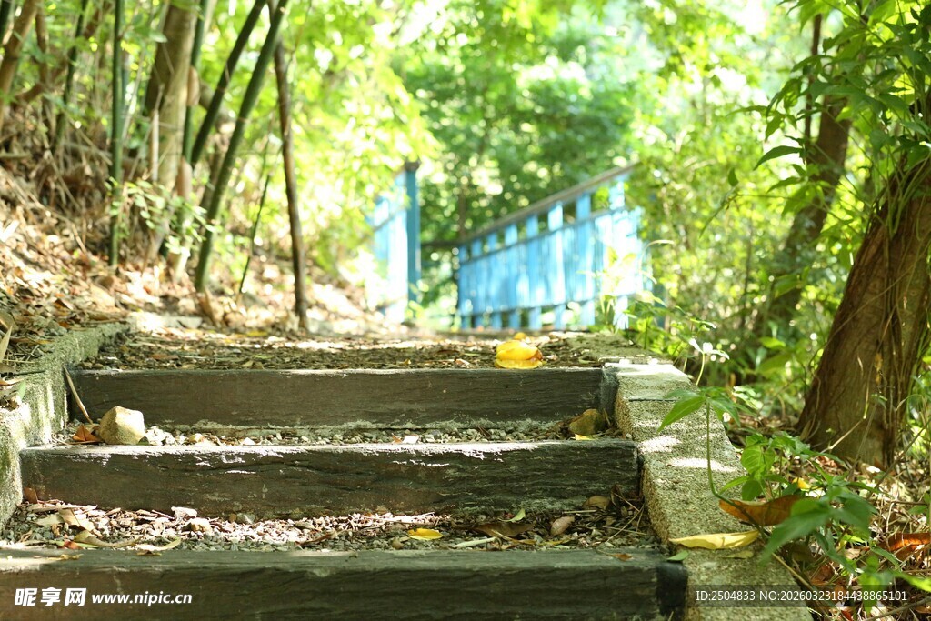 林间石阶 通往静谧之境