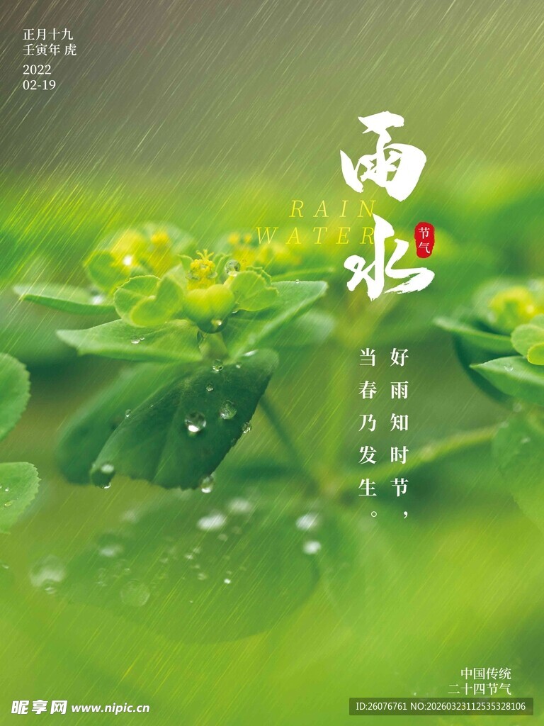 雨水海报