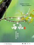 雨水海报 