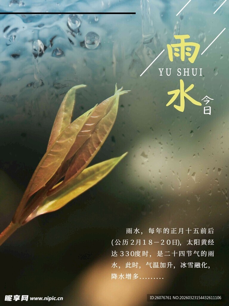 雨水海报