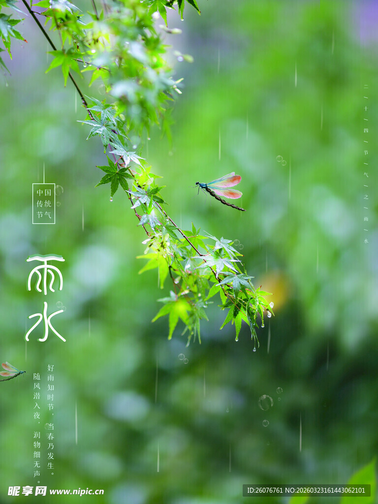 雨水海报
