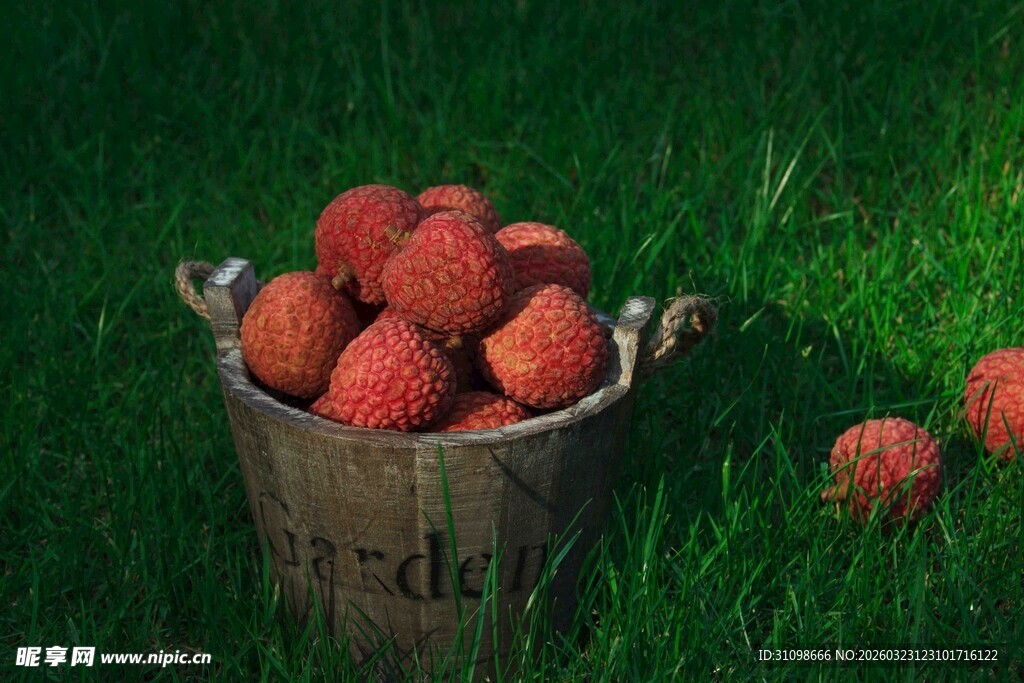 木桶中的新鲜红荔枝