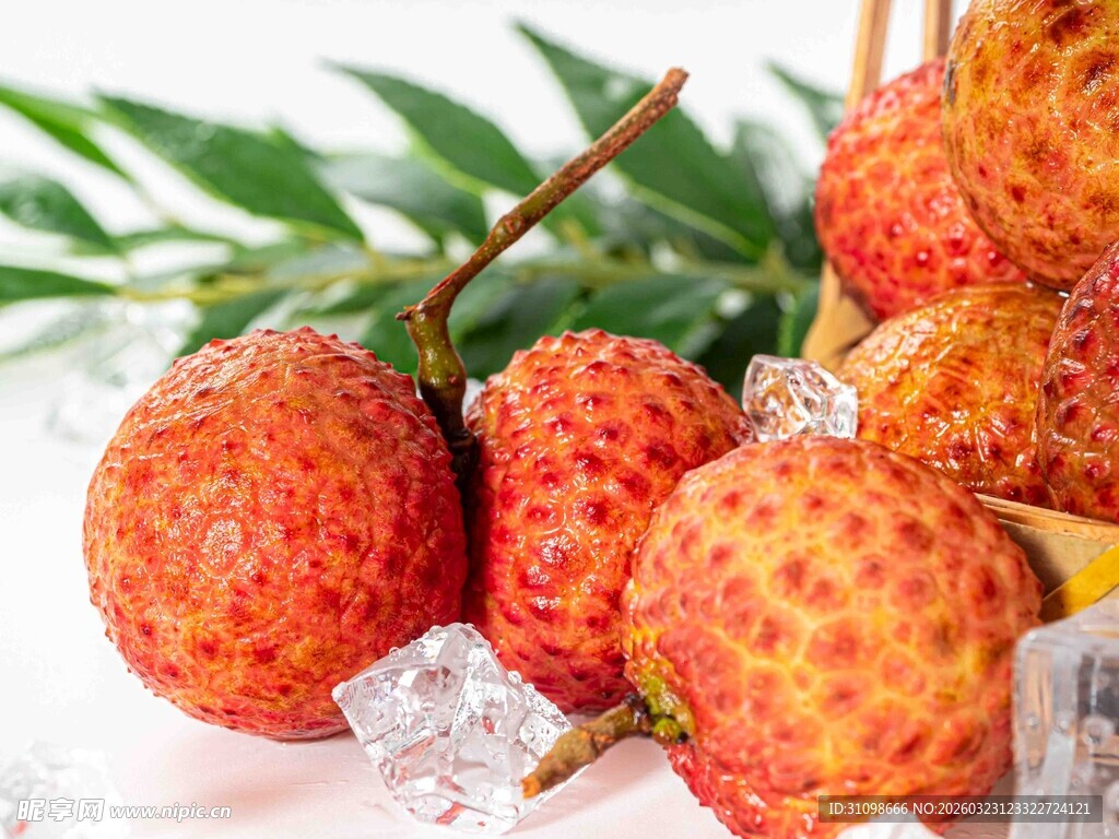 新鲜荔枝置于冰上