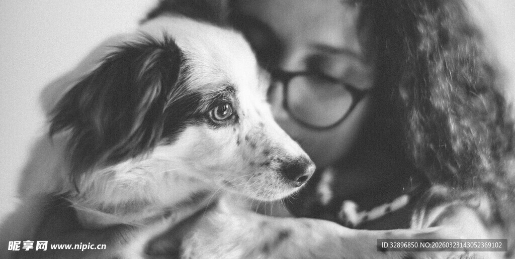 女孩与萌犬的温馨瞬间