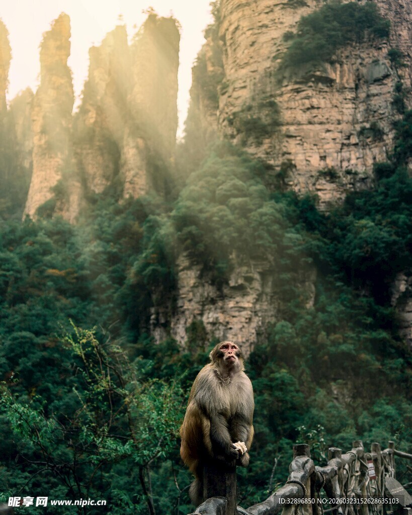 山间行置身壮美奇峰间