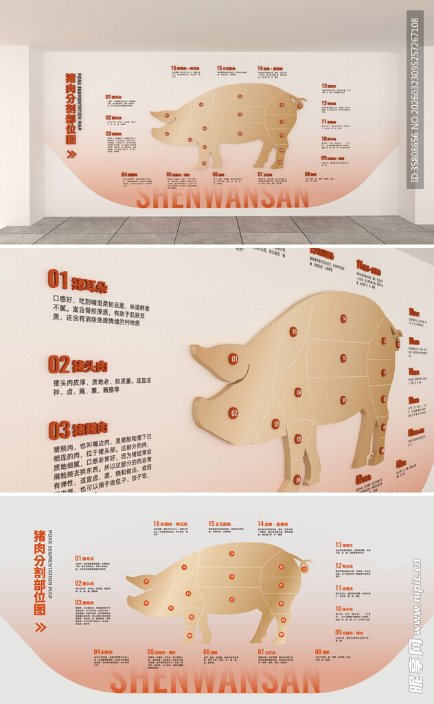 猪肉分割图