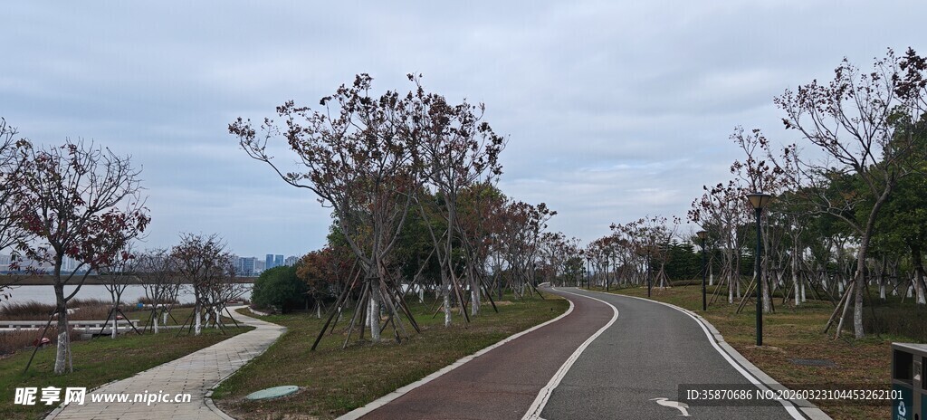城郊宁静道路景观