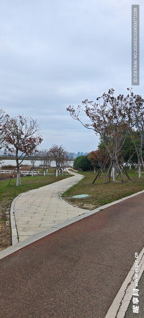 城市中蜿蜒的彩色步道