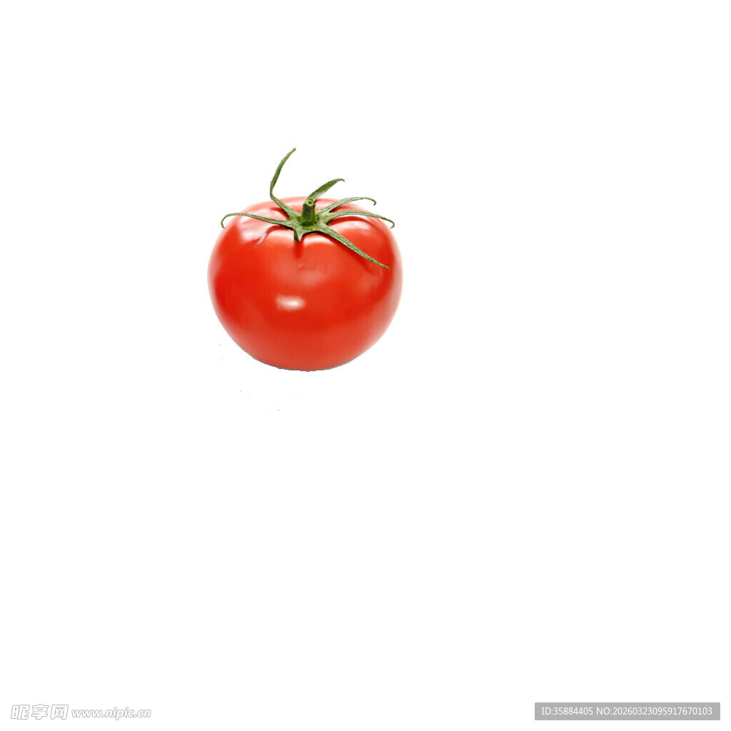 鲜红饱满的单个番茄
