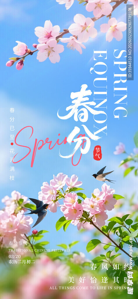 春日繁花绽放美景