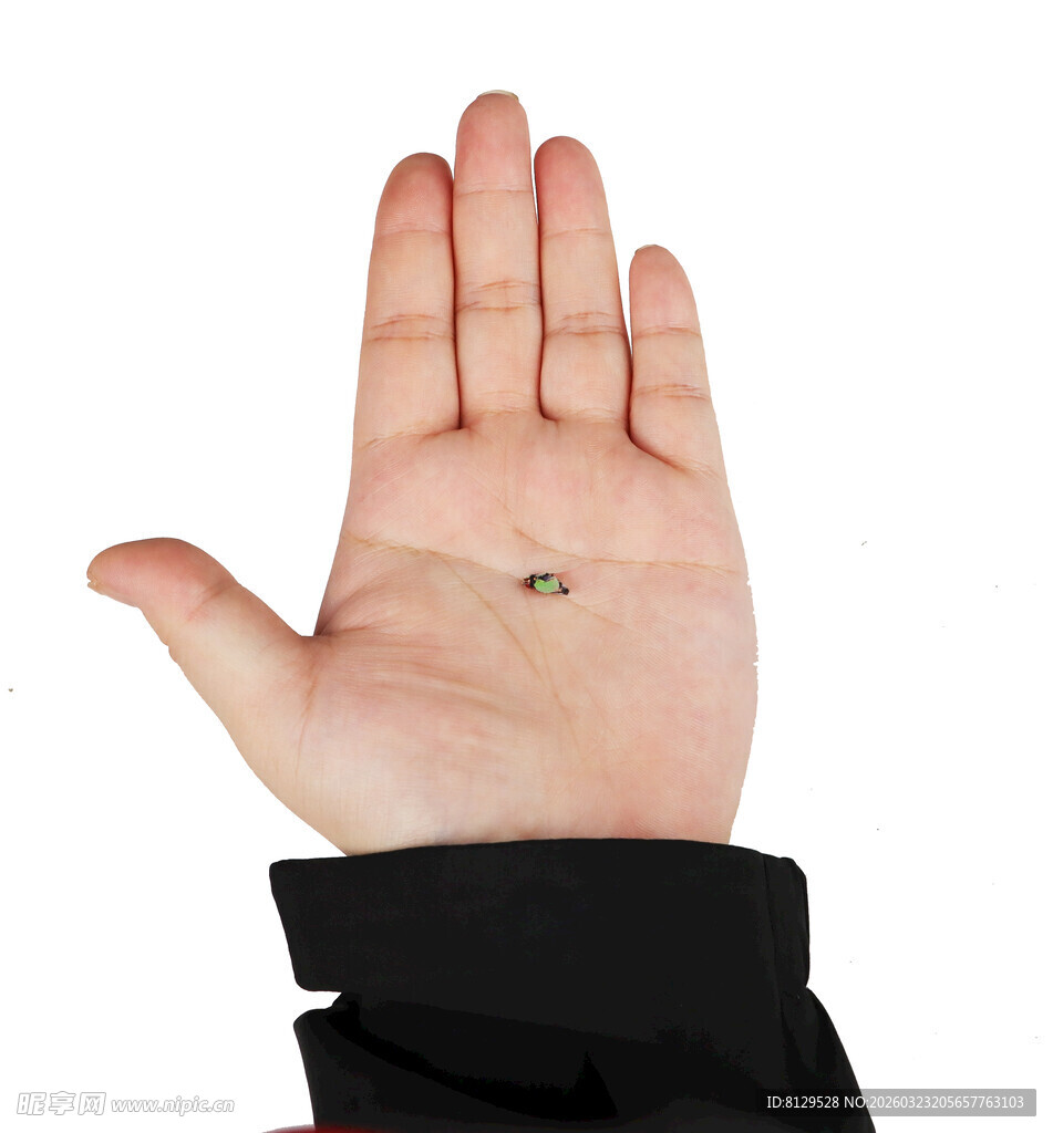 手掌中的小物件