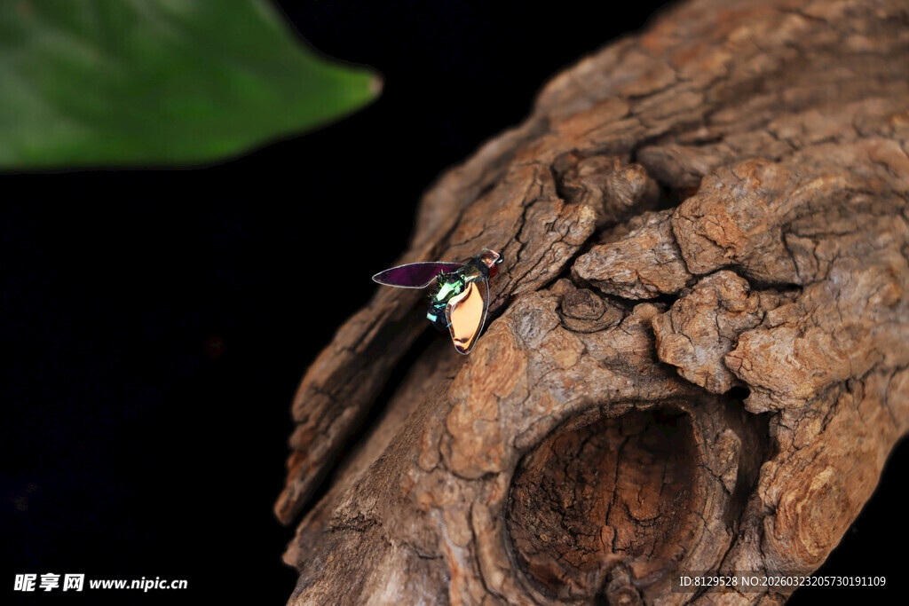 木头上停歇的彩色小昆虫