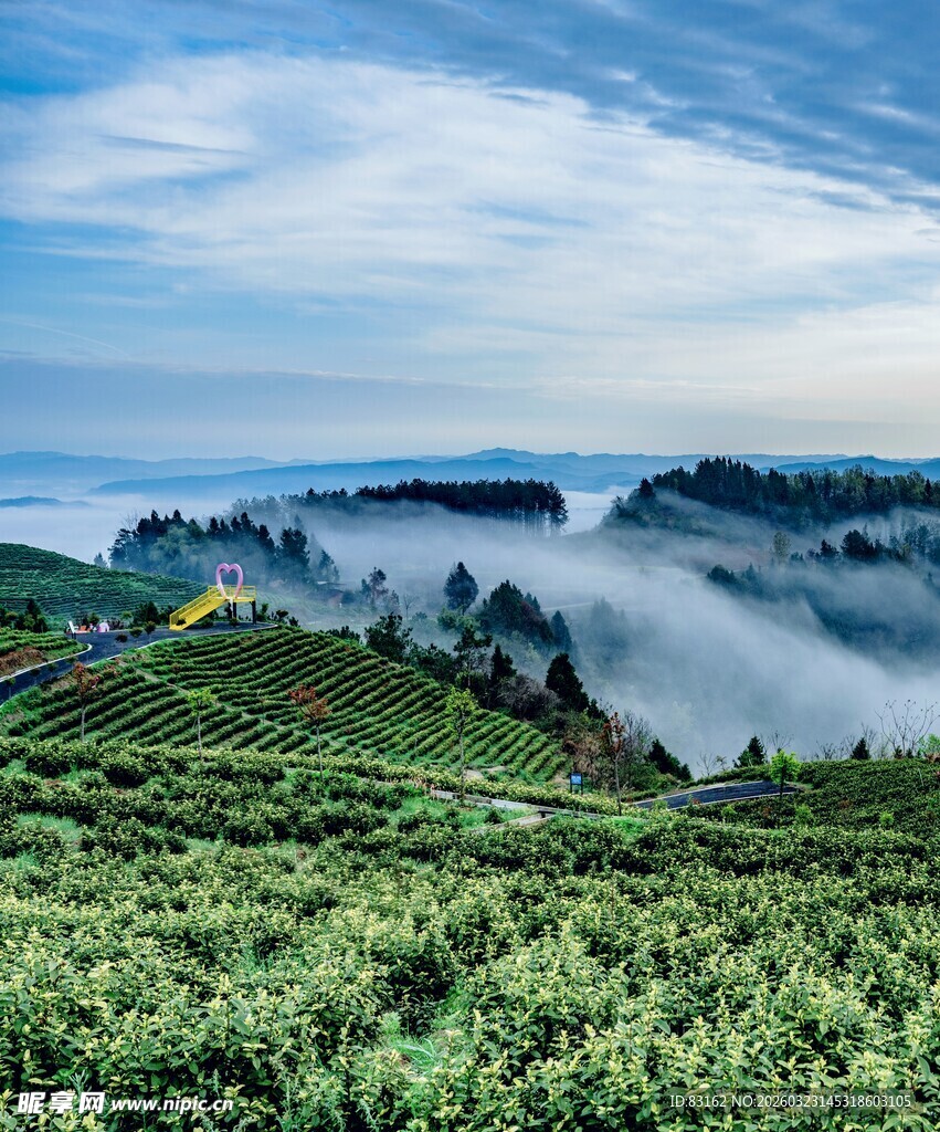 山间云海中的翠绿景致