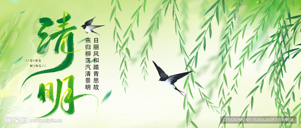 清明时节柳飞鸟翔图