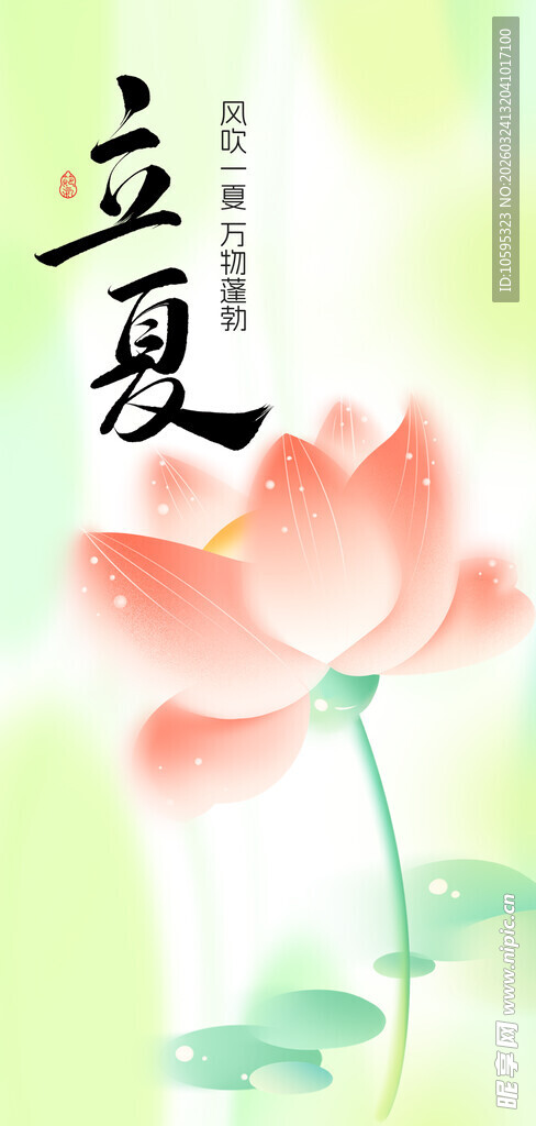 立夏时节绽放的娇艳荷花